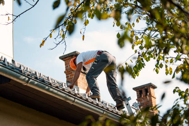 Quick and Trustworthy Emergency Roof Repair Services in Hallsville, TX