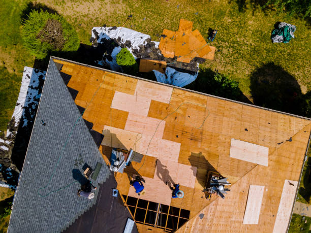 Best Roof Gutter Cleaning  in Hallsville, TX