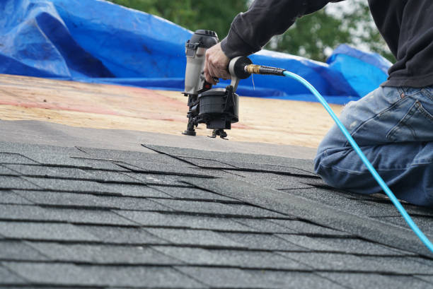 Best Shingle Roofing Installation  in Hallsville, TX