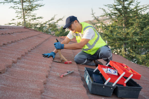 Best Storm Damage Roof Repair  in Hallsville, TX