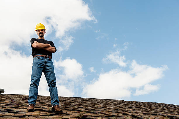 Best Roof Gutter Cleaning  in Hallsville, TX