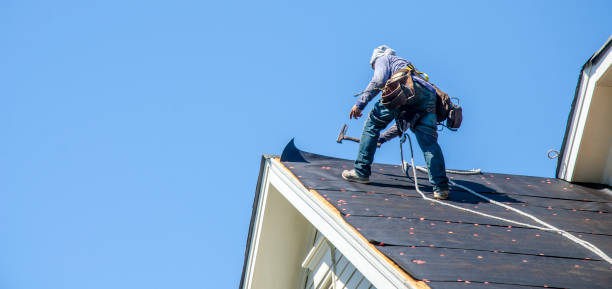 Best Roof Maintenance Services  in Hallsville, TX